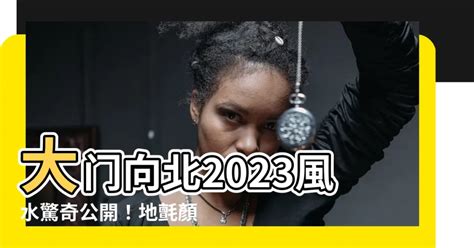 地氈顏色2023